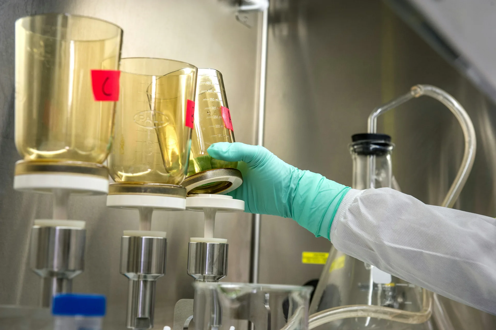 Networking as a Way of Connecting New Branches in Science