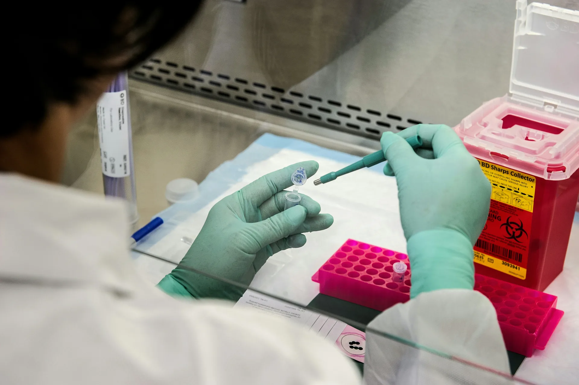 Latest News from Our Laboratory